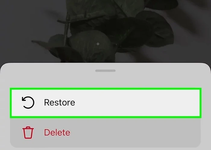 restore کردن ریلز و بازگردان ریلز به صفحه اینستاگرام