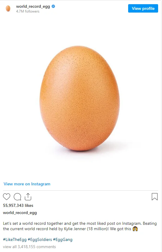 An Egg