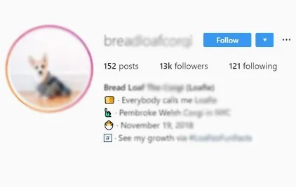 استفاده از عناصر بصری در بیو اینستاگرام